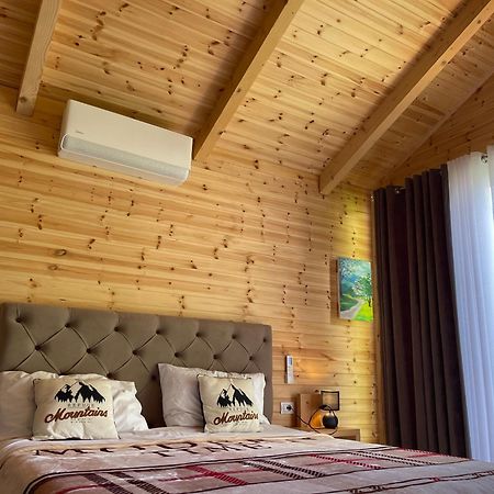 Thethi Mountain Villas Εξωτερικό φωτογραφία