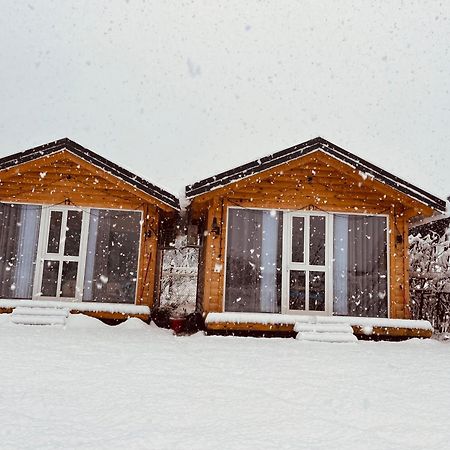 Thethi Mountain Villas Εξωτερικό φωτογραφία